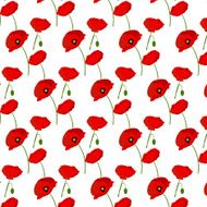 Seamless pattern with poppies flowers