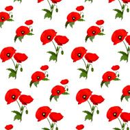 Seamless pattern with poppies flowers N2
