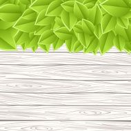wall with leaves