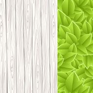 wall with leaves N2