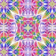 Symmetrical multicolored pattern of the leaves
