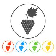 Grapes Icon N9