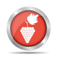 Grapes Icon N10