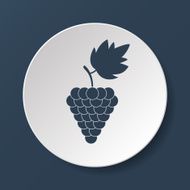 Grapes Icon N11