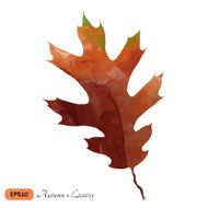 Watercolor vector autumn leaves