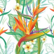 Seamless pattern with Strelitzia