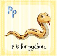 Python N2