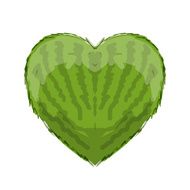 Watermelon heart shape for your design