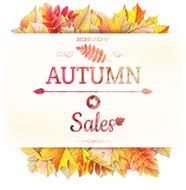 Autumnal fallen leafs EPS 10 N3