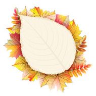 Autumn frame with fall leaf EPS 10 N3