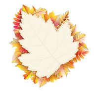Autumn frame with fall leaf EPS 10 N5