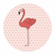 bird cartoon theme elements vector eps N114