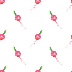 Radish seamless pattern vector watercolor illustration