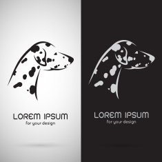 Vector image of an dalmatian dog design