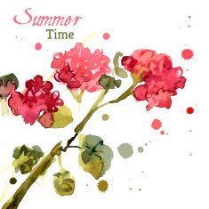 Watercolor blooming geranium N5
