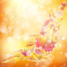 Autumn background with colorful leaves EPS 10 N3