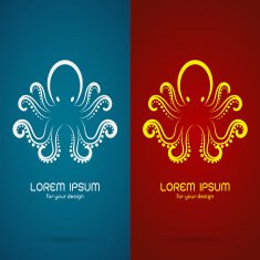 Vector image of an octopus design