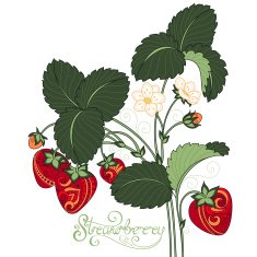 Vector Colored Fruit Background N2