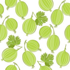 Seamless pattern with gooseberry N2