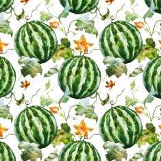 Watercolor watermelon melon pattern N13