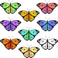 Set of colorful butterflies N3