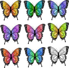 Set of colorful butterflies N5