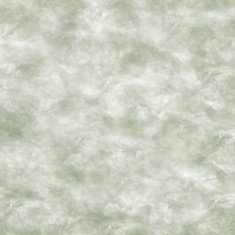 Grunge abstract background N920