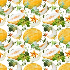 Watercolor watermelon melon pattern N16
