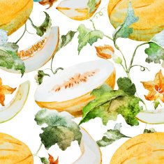 Watercolor watermelon melon pattern N17