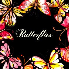 Flying butterfly card N2