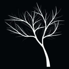 Trees with dead branch N58