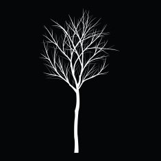 Trees with dead branch N59