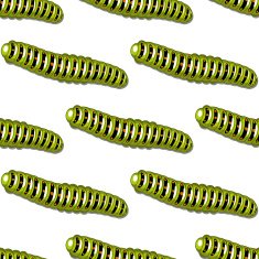 Seamless background pattern of green caterpillars