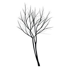 Trees with dead branch N65