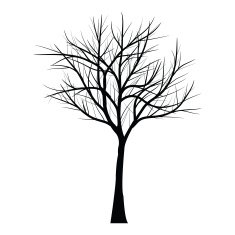 Trees with dead branch N67