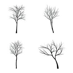 Trees with dead branch N68