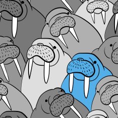 Walrus Pattern