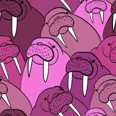Walrus Pattern N6