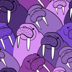 Walrus Pattern N7