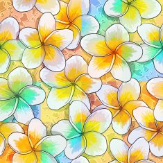 Tropical flowers plumeria N4
