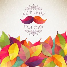 Autumn background Vector illustration N19