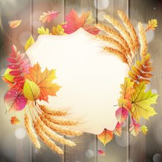 Autumn background with colorful leaves EPS 10 N5
