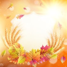 Autumn background with colorful leaves EPS 10 N10