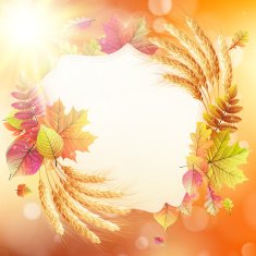 Autumn background with colorful leaves EPS 10 N11