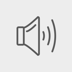Speaker volume thin line icon N2