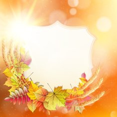 Autumn background with colorful leaves EPS 10 N12