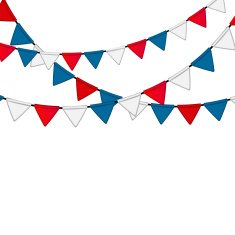 Independence Day Poster Vector Illustration N50