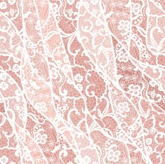Lace vector fabric seamless pattern N49