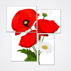 Vector white background with chamomile and poppies N2