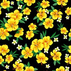 hibiscus repeats N4